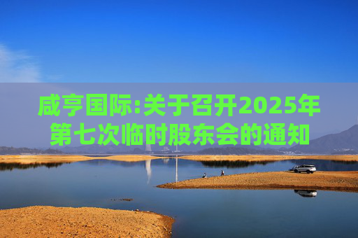 咸亨国际:关于召开2025年第七次临时股东会的通知  第1张