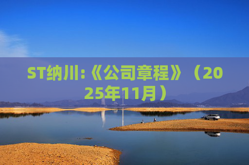 ST纳川:《公司章程》（2025年11月）