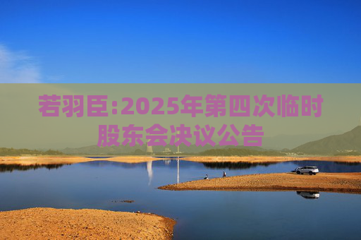 若羽臣:2025年第四次临时股东会决议公告