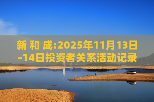 新 和 成:2025年11月13日-14日投资者关系活动记录表  第1张