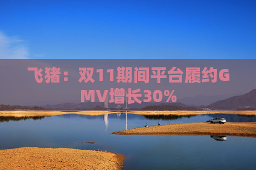 飞猪：双11期间平台履约GMV增长30%