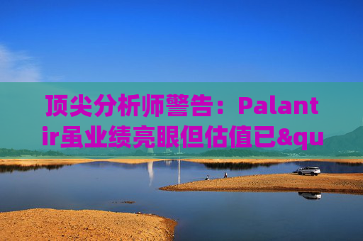 顶尖分析师警告：Palantir虽业绩亮眼但估值已"趋于完美"