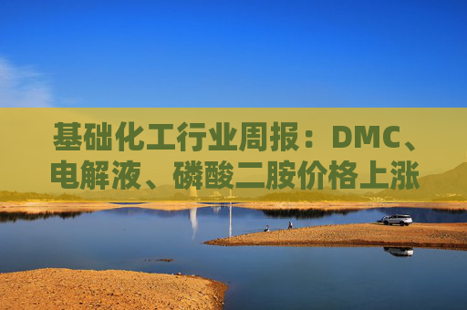 基础化工行业周报：DMC、电解液、磷酸二胺价格上涨 关注反内卷和铬盐  第1张
