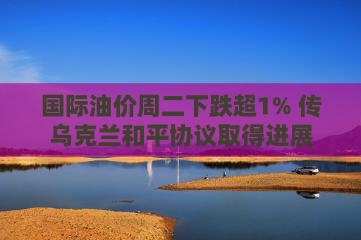 国际油价周二下跌超1% 传乌克兰和平协议取得进展  第1张
