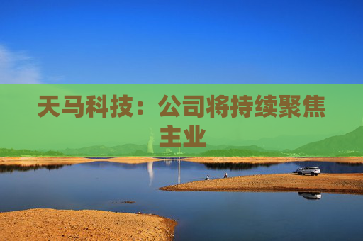 天马科技：公司将持续聚焦主业  第1张