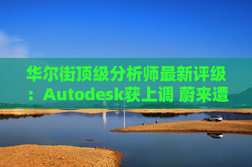 华尔街顶级分析师最新评级：Autodesk获上调 蔚来遭下调