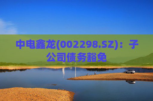 中电鑫龙(002298.SZ)：子公司债务豁免