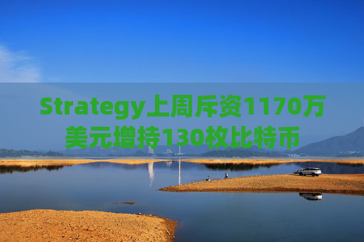 Strategy上周斥资1170万美元增持130枚比特币