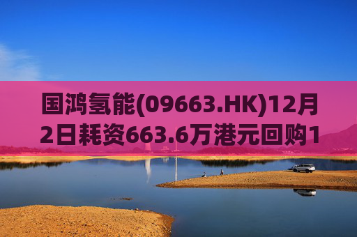 国鸿氢能(09663.HK)12月2日耗资663.6万港元回购128.6万股