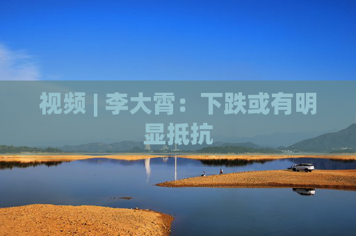 视频 | 李大霄：下跌或有明显抵抗