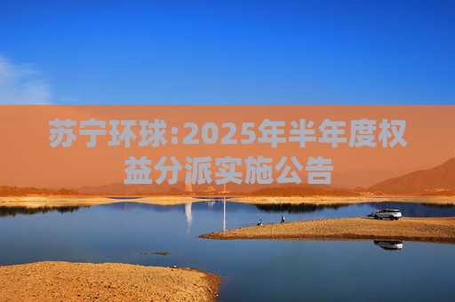 苏宁环球:2025年半年度权益分派实施公告