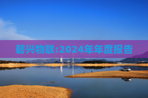 碧兴物联:2024年年度报告