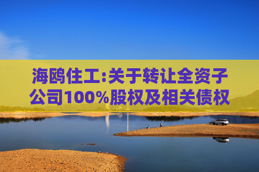 海鸥住工:关于转让全资子公司100%股权及相关债权暨债务豁免的公告