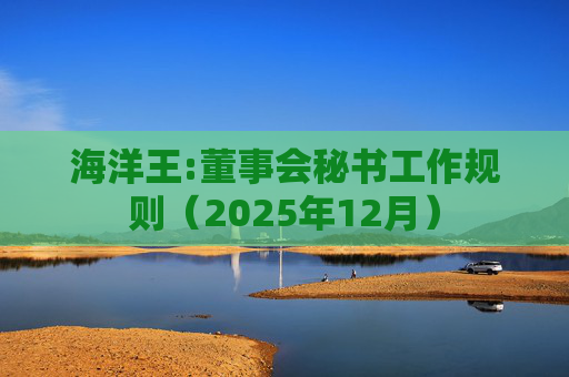 海洋王:董事会秘书工作规则(2025年12月)