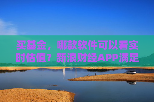 买基金，哪款软件可以看实时估值？新浪财经APP满足你的投资需求  第1张