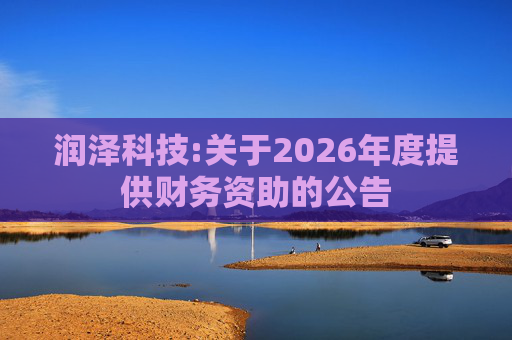 润泽科技:关于2026年度提供财务资助的公告
