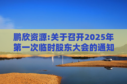 鹏欣资源:关于召开2025年第一次临时股东大会的通知