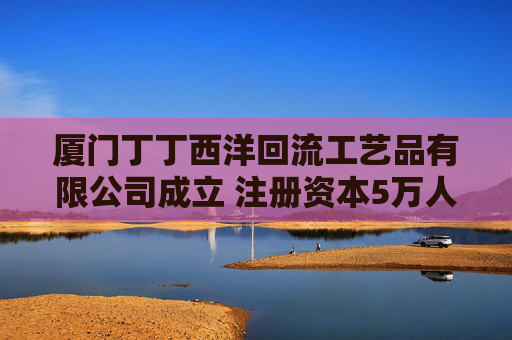 厦门丁丁西洋回流工艺品有限公司成立 注册资本5万人民币  第1张
