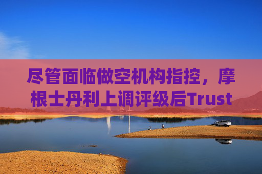 尽管面临做空机构指控，摩根士丹利上调评级后Trustpilot股价飙升  第1张