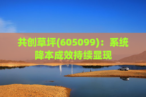 共创草坪(605099)：系统降本成效持续显现