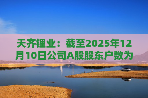 天齐锂业：截至2025年12月10日公司A股股东户数为307706户