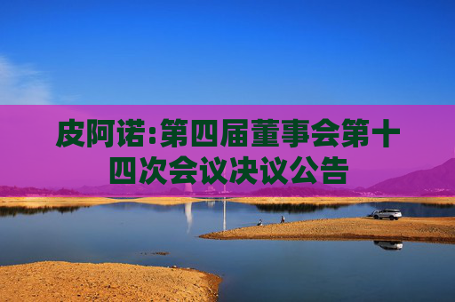 皮阿诺:第四届董事会第十四次会议决议公告  第1张