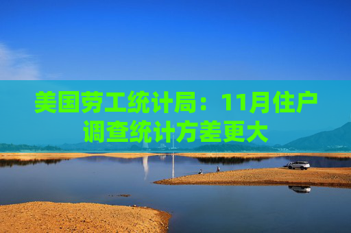 美国劳工统计局：11月住户调查统计方差更大