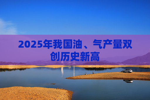 2025年我国油、气产量双创历史新高