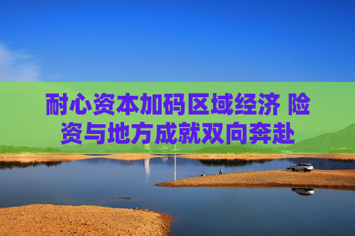 耐心资本加码区域经济 险资与地方成就双向奔赴