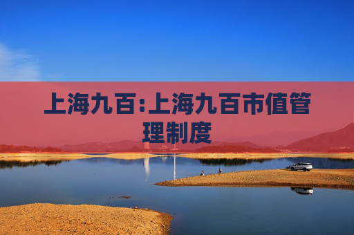 上海九百:上海九百市值管理制度