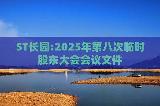 ST长园:2025年第八次临时股东大会会议文件