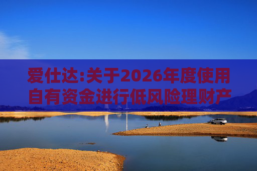 爱仕达:关于2026年度使用自有资金进行低风险理财产品投资的公告
