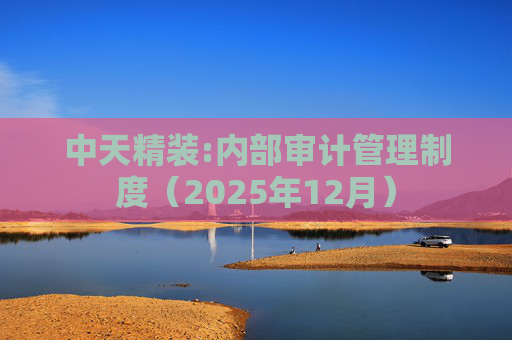 中天精装:内部审计管理制度（2025年12月）  第1张