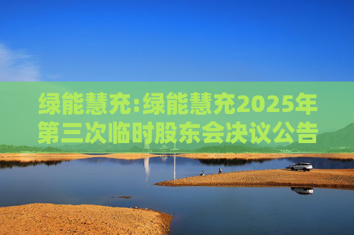 绿能慧充:绿能慧充2025年第三次临时股东会决议公告  第1张