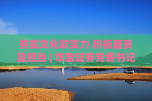 夯实文化软实力 积极履责显担当 | 华宝证券党委书记、董事长刘加海：厚植金融为民底色 深耕乡村振兴实践