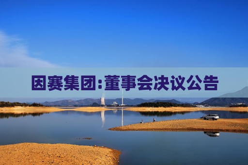 因赛集团:董事会决议公告