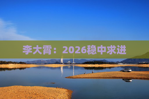李大霄:2026稳中求进