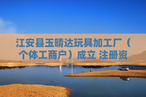 江安县玉晴达玩具加工厂（个体工商户）成立 注册资本10万人民币  第1张