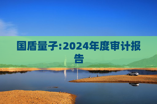 国盾量子:2024年度审计报告  第1张