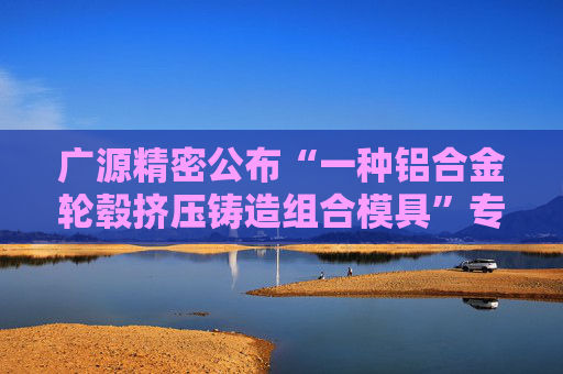 广源精密公布“一种铝合金轮毂挤压铸造组合模具”专利  第1张