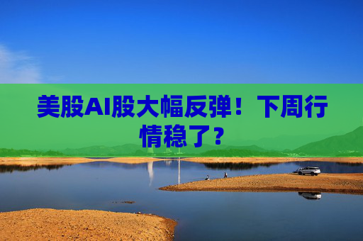 美股AI股大幅反弹！下周行情稳了？