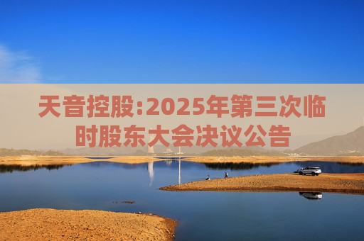 天音控股:2025年第三次临时股东大会决议公告