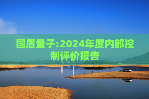 国盾量子:2024年度内部控制评价报告