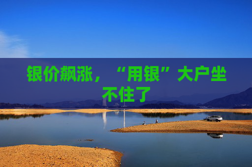 银价飙涨，“用银”大户坐不住了