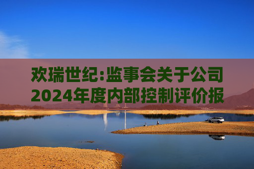 欢瑞世纪:监事会关于公司2024年度内部控制评价报告的意见  第1张