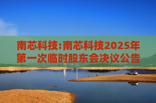 南芯科技:南芯科技2025年第一次临时股东会决议公告