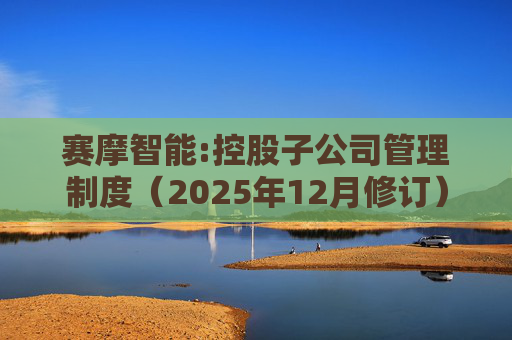 赛摩智能:控股子公司管理制度（2025年12月修订）