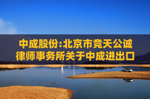 中成股份:北京市竞天公诚律师事务所关于中成进出口股份有限公司发行股份购买资产并募集配套资金暨关联交易的补充法律意见书（二）