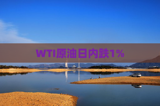 WTI原油日内跌1%