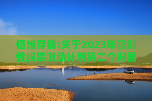 佰维存储:关于2023年限制性股票激励计划第二个归属期（第二批次）、2024年限制性股票激励计划首次授予第一个归属期（第二批次）归属结果暨股份上市的公告